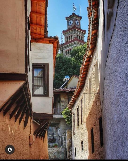 Villa Mama'S House. 300M Απο Τον Μύλο Των Ξωτικών. à Tríkala Extérieur photo